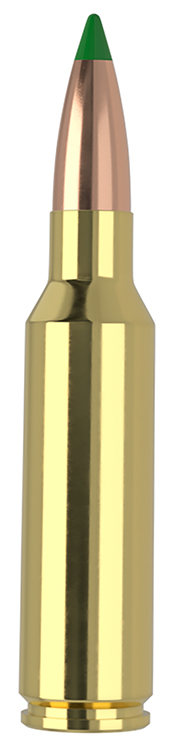 NOSLER BTA 300WSM 165GR BT SP 20/200