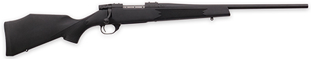 WBY VGD S2 COM BA 22-250 20TB