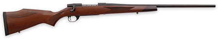 WBY VANGUARD 2 22-250 24 TB SPORTER