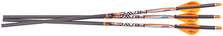 RAVIN LIGHTED ARROWS 400GR 3PK .001