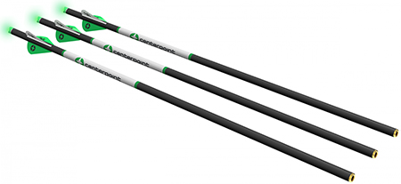 CENTERPOINT PREMIUM ARROWS W/ LIGHTED NOCKS