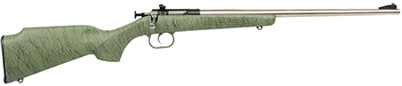 Crickett 22LR Stnls Green w/Blk Web Syn Stk