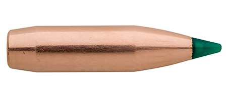 TIPPED GAMEKING 30-06 (0.308'') POLYMER TIP BT RIFLE AMMO