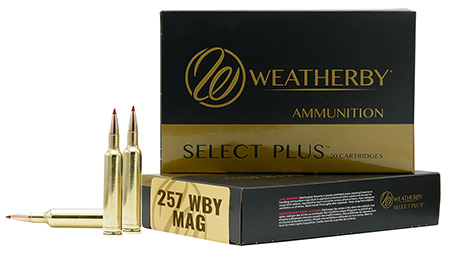 257WBY 100GR SCIROCCO