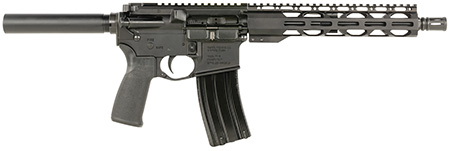 RADICAL 300BLK 10.5" RPR HG 30RD BLK