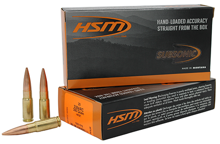 HSM SUBSONIC 338ARC 300GR HP BT 20/25