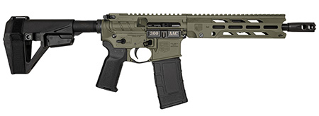 DB15 Obs Ser 300Blk 10'' BBL 30Rd SBA5 Brace OD Grn Ambi Cntrls