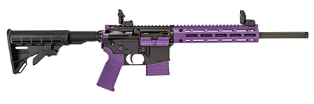 TIPPMANN M4-22 ACCENT 22LR 25RD PRP