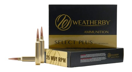 WBY AMMO 25WBY RPM 117GR BARNES LRX 20/10