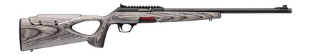 WINCHESTER WILDCAT 22LR 16.5"