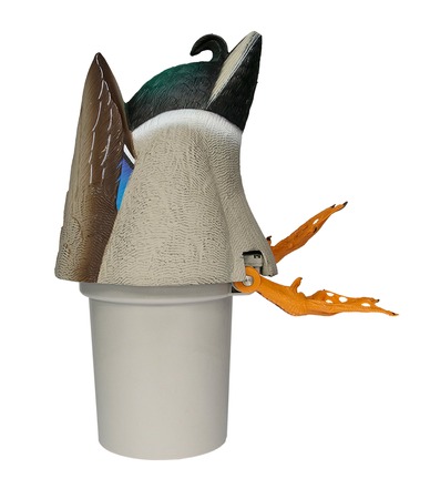 AVIAN X POWER BUTT KICKER