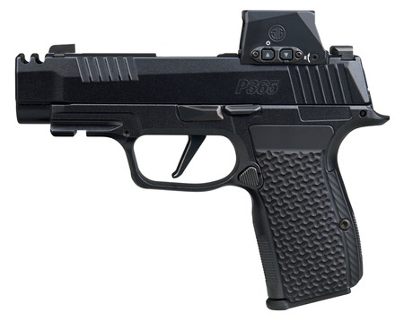 P365 AXG LUXE 380ACP 12+1 ROMX