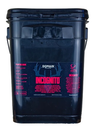 DOMAIN INCFP325   INCOGNITO