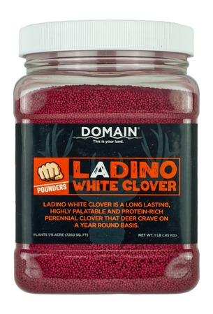 DOMAIN DLWCS1LB   LADINO WHITE CLOVER