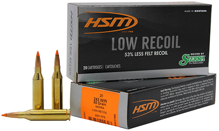 HSM 24318N       243      85 LOWRECOIL       20/25
