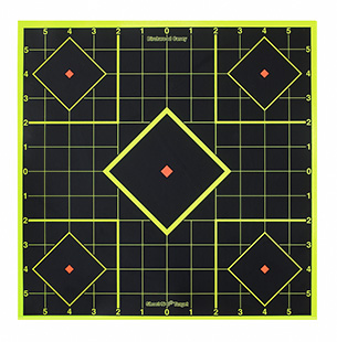 B/C SHT-N-C SIGHT-IN TGT 6-8"
