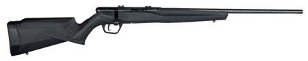 B17 17HMR BL/SYN 21"