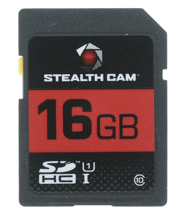 STEAL STC-16GB       16GB SD CARD