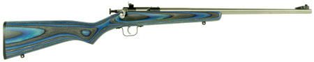 CRICKETT 22LR SS/BLUE LAM