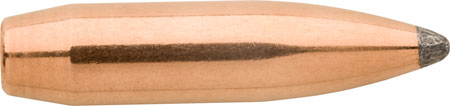 6MM 243DIA 100GR SBT