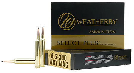 WTHBY F653130SCO   6.5-300 130 SCO           20/10