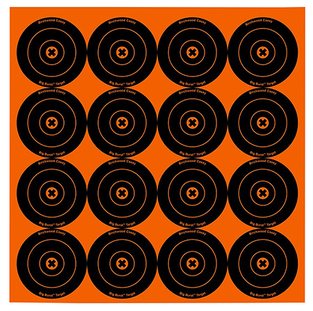 BIR 36348          BIG BURST 3"  TARGET       48PK