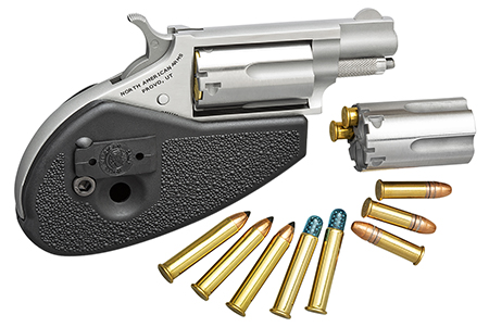 NAM MINI-REV 22LR/22M 1.125 HG