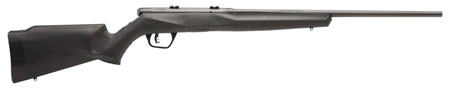 Savage Arms 70840 B17 F Bolt Action 17 HMR Caliber with 10+1 Capacity, 21"-img-1