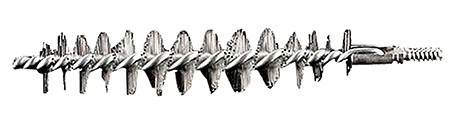RC CASE NECK BRUSH MEDIUM