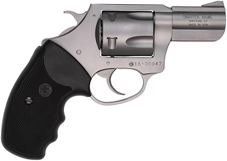CHA 74020 PITBULL        40SW 2.3 5SHOT         SS