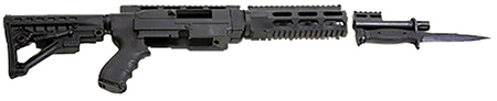 ARCHANGEL 10/22 ARS RIFLE PKG 6-POS