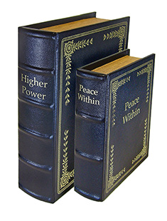 PS DIVERSION BOOKS - SET OF 2