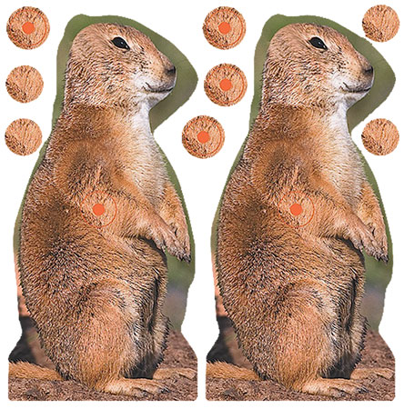 SHOOT-N-C PRAIRIE CHUCK 8" TARGET - 12-PK