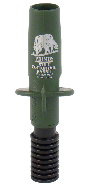 PRIM 316      STILL COTTONTAIL RABBIT