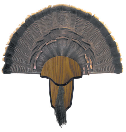 HS STRUT MOUNTING KIT TURKEY