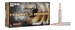 Federal P300WTC2 Premium Trophy Copper 165 Grain  300 Winchester Mag 3050 fps